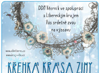 Křehká krása zimy plakát-Info